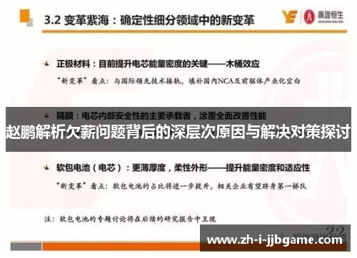 赵鹏解析欠薪问题背后的深层次原因与解决对策探讨