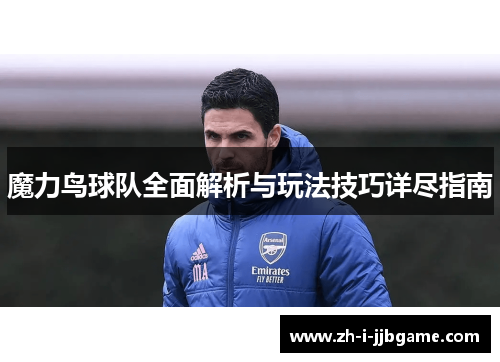 魔力鸟球队全面解析与玩法技巧详尽指南 魔力鸟球队全面解析与玩法技巧详尽指南